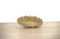Preview: RingTeller Leaf small Preview: RingTeller Leaf small