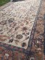 Preview: Teppich Rose Preview: Teppich Rose