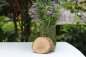 Preview: HolzScheibe Oval Preview: HolzScheibe Oval