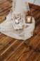 Preview: Laterne Bianca Preview: Laterne Bianca