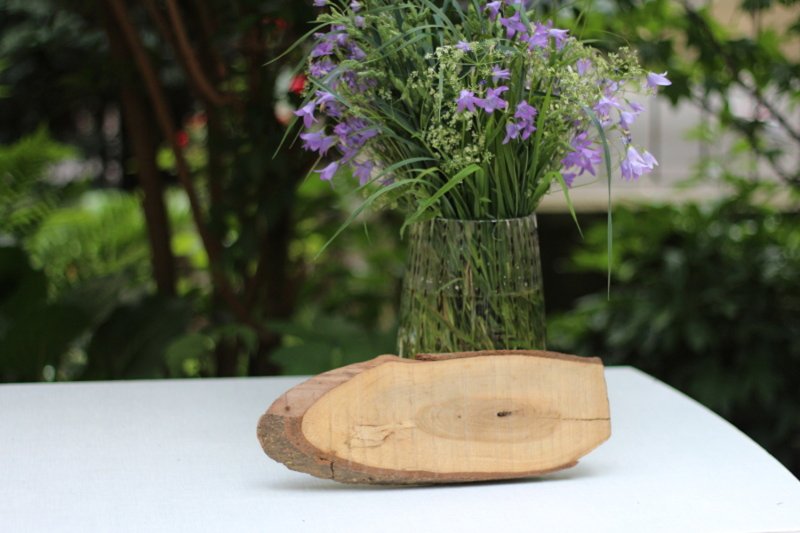 HolzScheibe Oval HolzScheibe Oval
