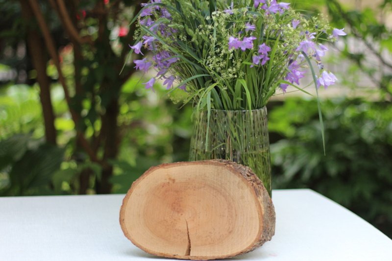 HolzScheibe Oval HolzScheibe Oval