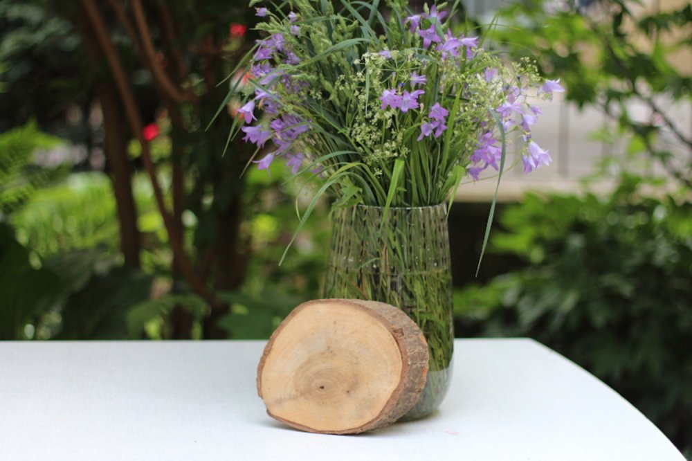 HolzScheibe Oval HolzScheibe Oval